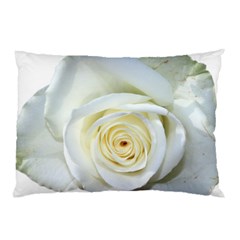 Flower White Rose Lying Pillow Case by Nexatart