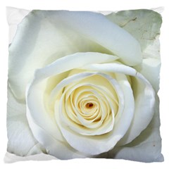 Flower White Rose Lying Large Cushion Case (one Side) by Nexatart