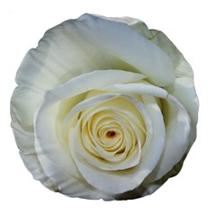 Flower White Rose Lying Large 18  Premium Round Cushions by Nexatart