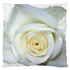 Flower White Rose Lying Standard Flano Cushion Case (two Sides) by Nexatart