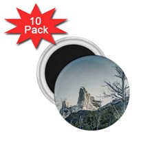 Fitz Roy Mountain, El Chalten Patagonia   Argentina 1 75  Magnets (10 Pack)  by dflcprints