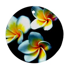 Flowers Black White Bunch Floral Ornament (round) by Nexatart