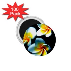 Flowers Black White Bunch Floral 1.75  Magnets (100 pack) 