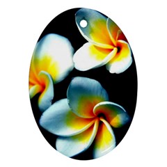 Flowers Black White Bunch Floral Oval Ornament (Two Sides)