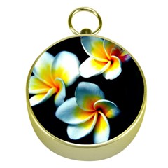 Flowers Black White Bunch Floral Gold Compasses