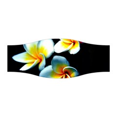 Flowers Black White Bunch Floral Stretchable Headband