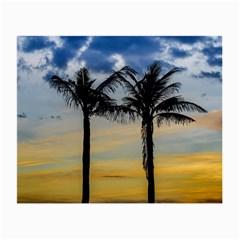 Palm Trees Against Sunset Sky Small Glasses Cloth by dflcprints