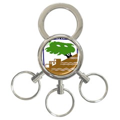 Coat Of Arms Of Holon  3-ring Key Chains by abbeyz71