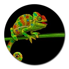 Chameleons Round Mousepads