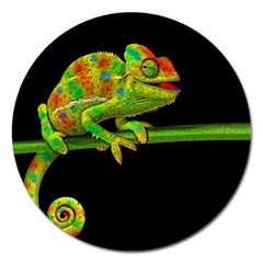 Chameleons Magnet 5  (round) by Valentinaart