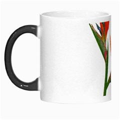 Bird Of Paradise Morph Mugs by Valentinaart