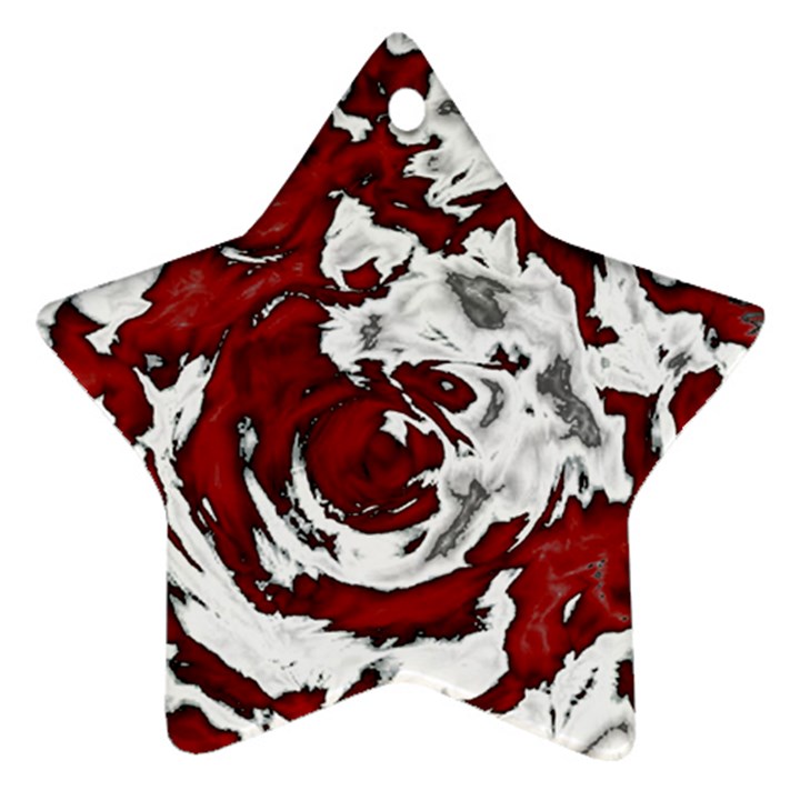 Abstract art Star Ornament (Two Sides)