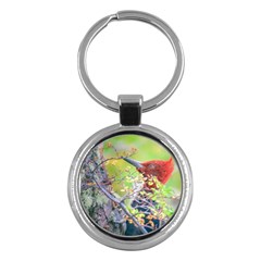 Woodpecker At Forest Pecking Tree, Patagonia, Argentina Key Chains (round)  by dflcprints