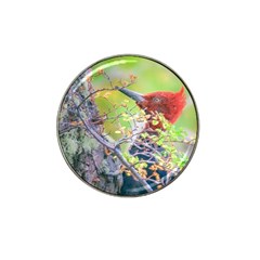 Woodpecker At Forest Pecking Tree, Patagonia, Argentina Hat Clip Ball Marker (4 Pack) by dflcprints