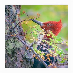 Woodpecker At Forest Pecking Tree, Patagonia, Argentina Medium Glasses Cloth by dflcprints