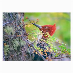 Woodpecker At Forest Pecking Tree, Patagonia, Argentina Large Glasses Cloth (2-side) by dflcprints