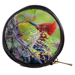 Woodpecker At Forest Pecking Tree, Patagonia, Argentina Mini Makeup Bags by dflcprints