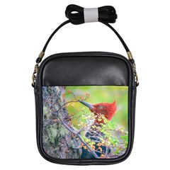 Woodpecker At Forest Pecking Tree, Patagonia, Argentina Girls Sling Bags by dflcprints