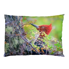 Woodpecker At Forest Pecking Tree, Patagonia, Argentina Pillow Case (two Sides) by dflcprints