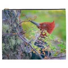 Woodpecker At Forest Pecking Tree, Patagonia, Argentina Cosmetic Bag (xxxl)  by dflcprints