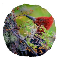 Woodpecker At Forest Pecking Tree, Patagonia, Argentina Large 18  Premium Round Cushions by dflcprints
