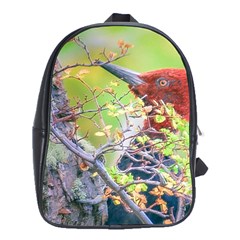 Woodpecker At Forest Pecking Tree, Patagonia, Argentina School Bags (xl) 