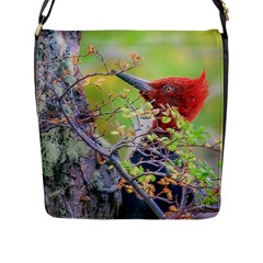 Woodpecker At Forest Pecking Tree, Patagonia, Argentina Flap Messenger Bag (l)  by dflcprints