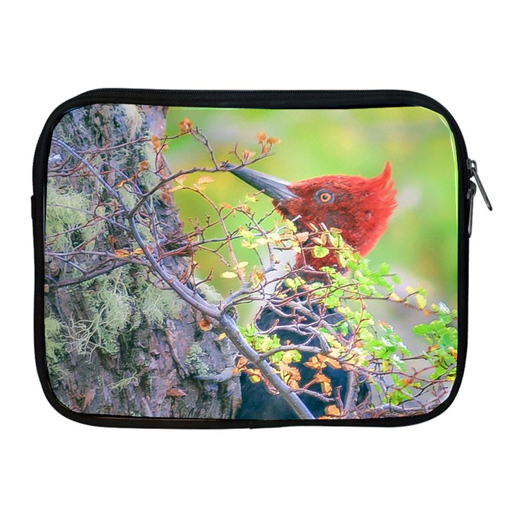 Woodpecker At Forest Pecking Tree, Patagonia, Argentina Apple iPad 2/3/4 Zipper Cases