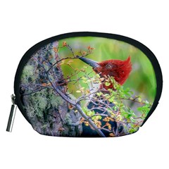 Woodpecker At Forest Pecking Tree, Patagonia, Argentina Accessory Pouches (medium) 