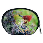 Woodpecker At Forest Pecking Tree, Patagonia, Argentina Accessory Pouches (Medium)  Back