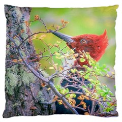 Woodpecker At Forest Pecking Tree, Patagonia, Argentina Large Flano Cushion Case (two Sides) by dflcprints