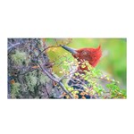 Woodpecker At Forest Pecking Tree, Patagonia, Argentina Satin Wrap Front