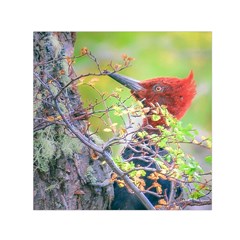 Woodpecker At Forest Pecking Tree, Patagonia, Argentina Small Satin Scarf (square)  by dflcprints