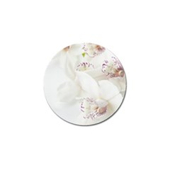 Orchids Flowers White Background Golf Ball Marker by Nexatart