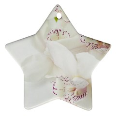 Orchids Flowers White Background Star Ornament (two Sides)