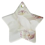 Orchids Flowers White Background Star Ornament (Two Sides) Front