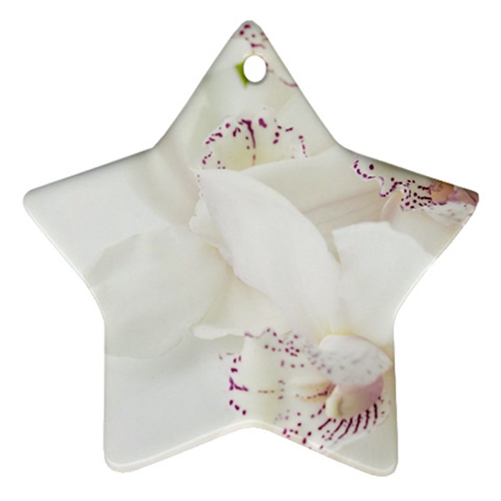 Orchids Flowers White Background Star Ornament (Two Sides)