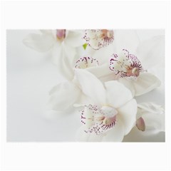 Orchids Flowers White Background Large Glasses Cloth by Nexatart