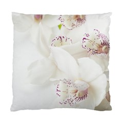 Orchids Flowers White Background Standard Cushion Case (one Side) by Nexatart