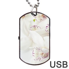 Orchids Flowers White Background Dog Tag Usb Flash (one Side) by Nexatart