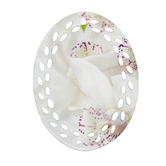 Orchids Flowers White Background Oval Filigree Ornament (two Sides) by Nexatart