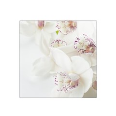 Orchids Flowers White Background Satin Bandana Scarf