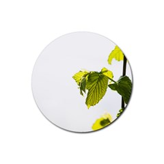 Leaves Nature Rubber Coaster (round)  by Nexatart