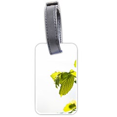 Leaves Nature Luggage Tags (one Side)  by Nexatart