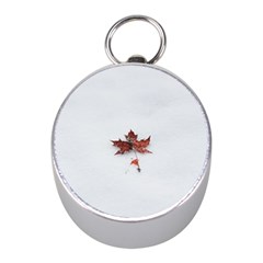 Winter Maple Minimalist Simple Mini Silver Compasses by Nexatart