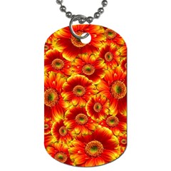 Gerbera Flowers Nature Plant Dog Tag (two Sides) by Nexatart