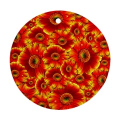 Gerbera Flowers Nature Plant Round Ornament (two Sides) by Nexatart