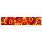 Gerbera Flowers Nature Plant Flano Scarf (Small) Front