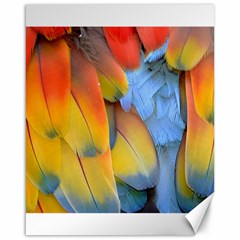 Spring Parrot Parrot Feathers Ara Canvas 16  X 20   by Nexatart