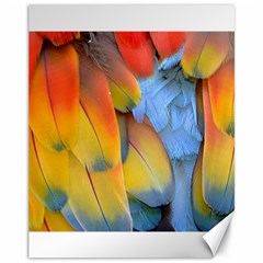 Spring Parrot Parrot Feathers Ara Canvas 11  X 14   by Nexatart